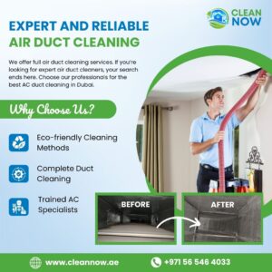 Breathe Fresh, Live Healthy with Clean Now!